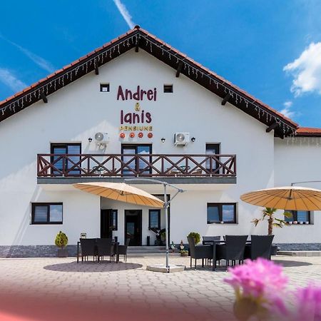 Agropensiunea Andrei & Ianis Daesti Exterior foto