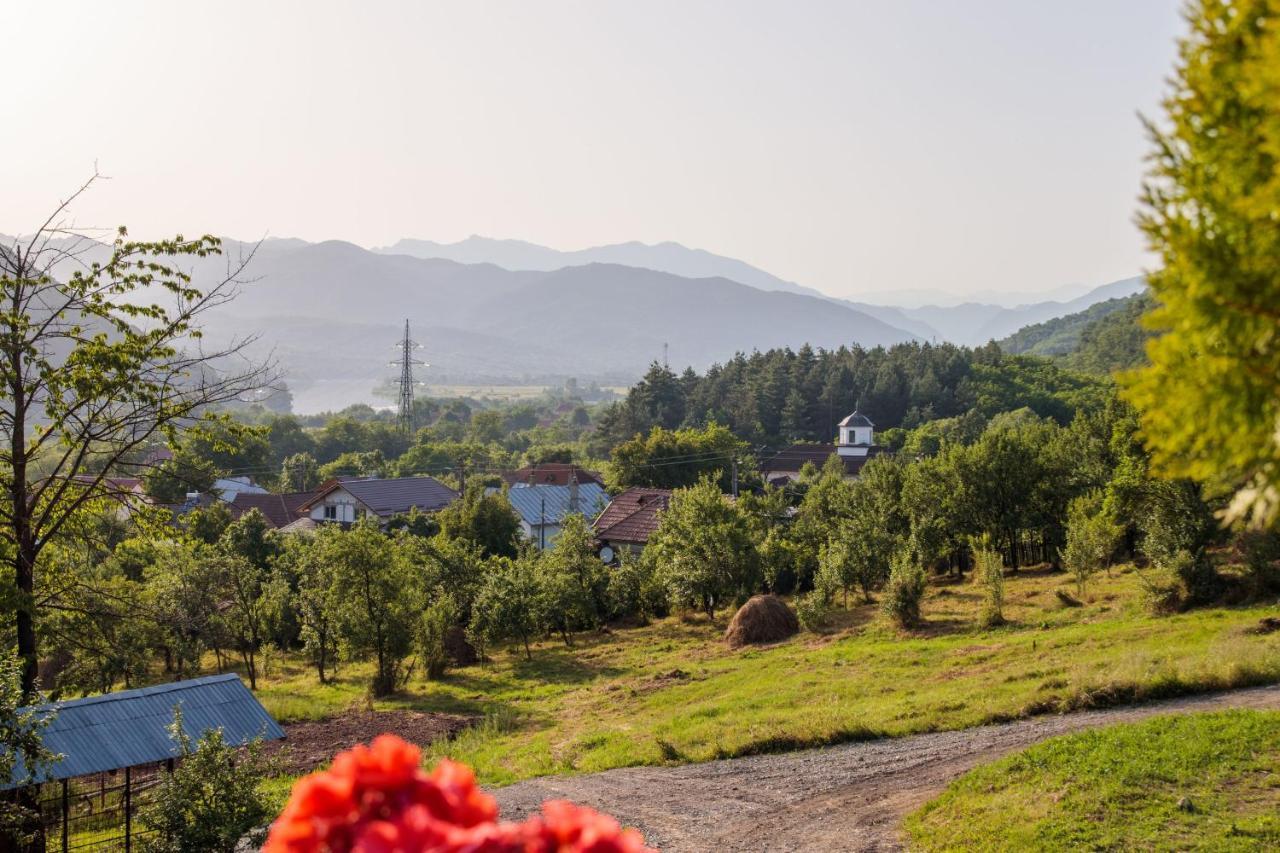 Agropensiunea Andrei & Ianis Daesti Exterior foto